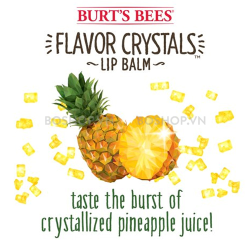 son-duong-burts-bees-flavor-crystals-425g-boshop-6.jpg