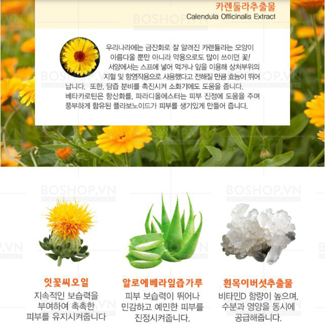 kem-duong-cap-nuoc-pure-mind-moisture-calendula-100gr-boshop-3.jpg
