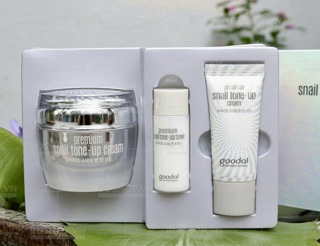 bo-chong-lao-hoa-oc-sen-goodal-premium-snail-tone-up-cream-boshop-2.jpg