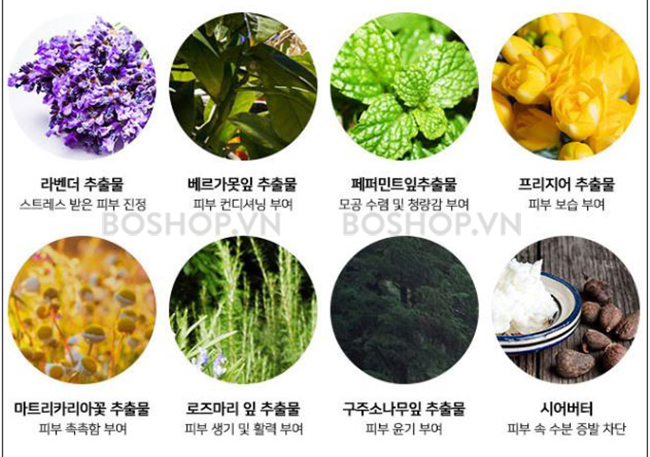kem-duong-trang-balit-vos-tone-up-cream-50ml-boshop-3.jpg