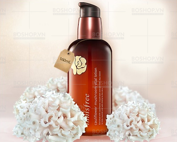 duong-am-innisfree-cauliflower-mushroom-vital-lotion-160ml-boshop-6-jpg
