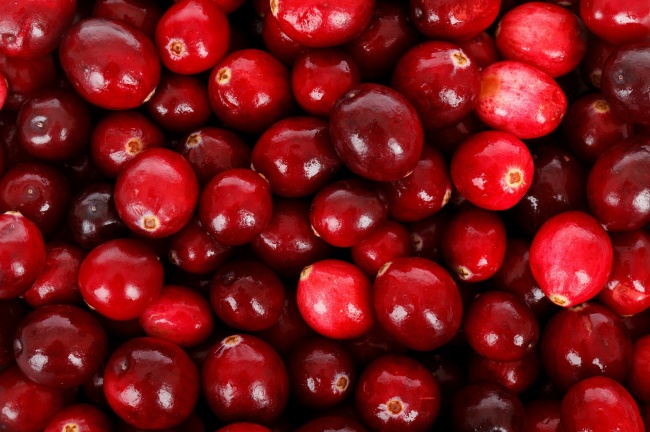 5-viet-qua-t-cranberries