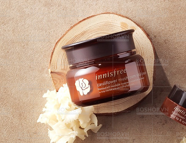 duong-trang-innisfree-cauliflower-mushroom-vital-cream-60ml-boshop-4-jpg