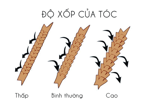 do-xop-cua-toc-jpg