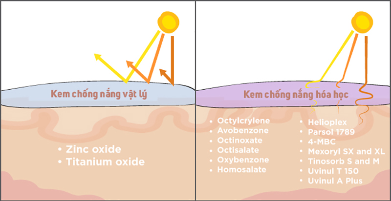 su-khac-nhau-giua-kem-chong-nang-vat-ly-va-kem-chong-nang-hoa-hoc-jpg