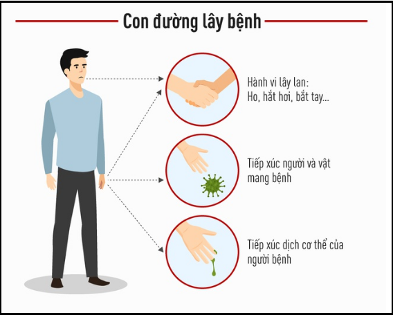 con-duong-lay-benh-cua-virus-corona-png