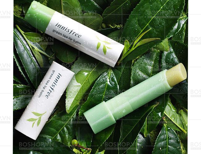 Innisfree Green Tea Lip Balm