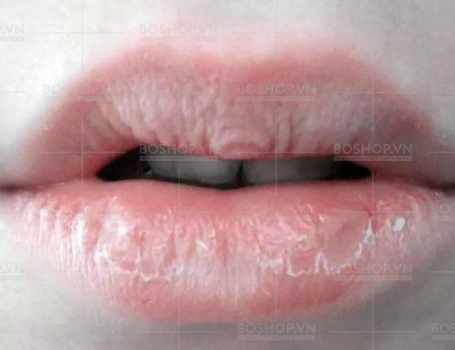 son-duong-moi-missha-superfood-avocado-lip-balm-boshop-6-png