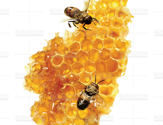 kem-keo-ong-etude-house-real-propolis-extract-40-50ml-boshop-6-jpg
