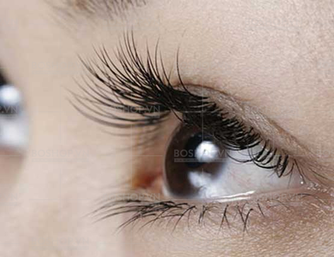 bam-mi-lameila-eyelash-curler-1-cai-boshop-6-jpg
