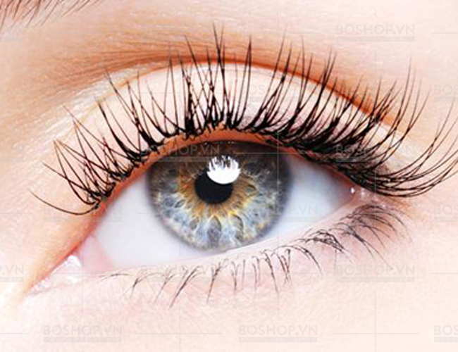 bam-mi-lameila-eyelash-curler-1-cai-boshop-5-jpg