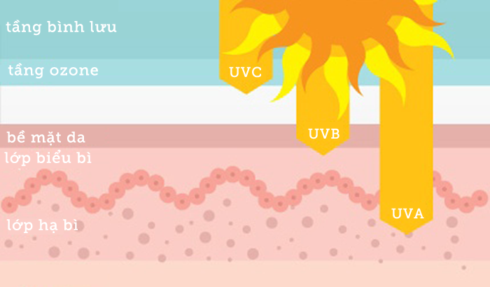 su-dung-kem-chong-nang-hang-ngay-de-ngan-ngua-tai-hai-cua-tia-uv-png