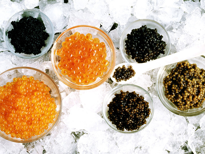trung-ca-muoi-caviar-va-10-dieu-co-the-ban-chua-biet-11-jpg