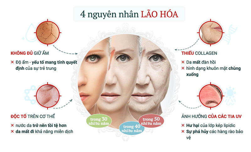 3-loai-kem-duong-trang-da-chong-lao-hoa-tot-cua-han-quoc-boshop-10-jpg
