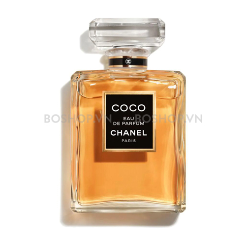 Cập nhật hơn 54 về coco chanel 5 perfume mới nhất  cdgdbentreeduvn