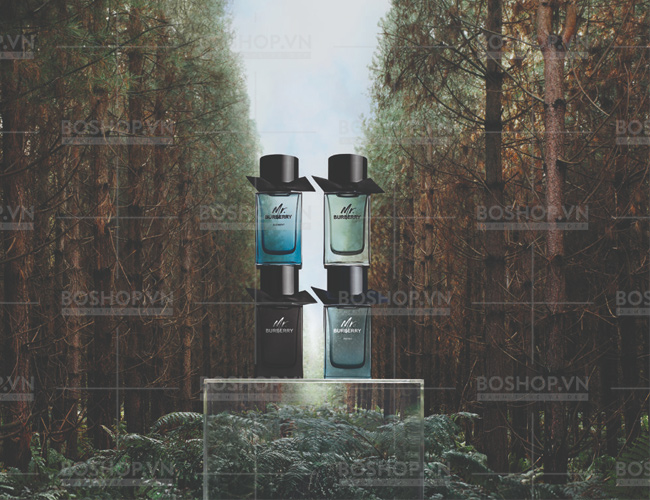 nuoc-hoa-nam-burberry-mr-burberry-element-edt-100ml-boshop-1-jpg