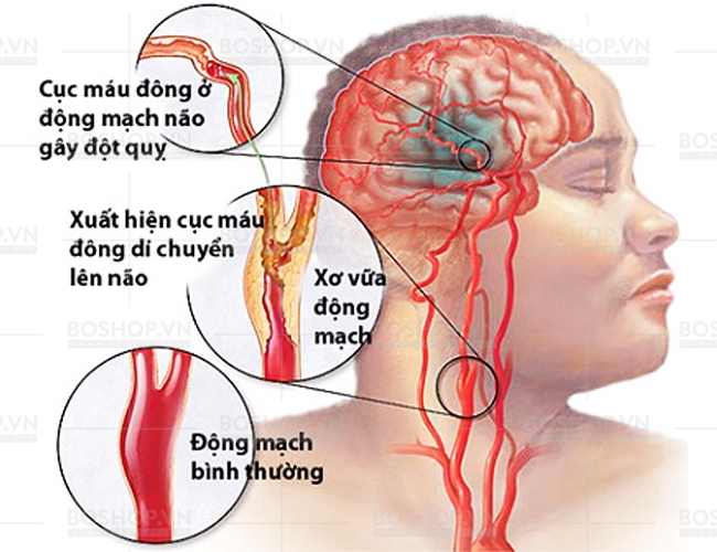 keo-ngam-vitamin-c-jeju-tangerine-vita-c-plus-500g-boshop-3-jpg