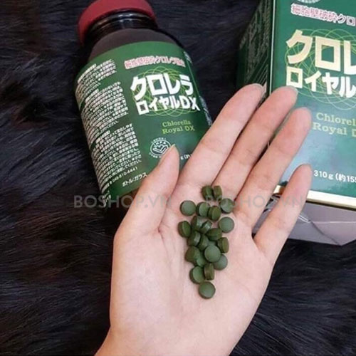 tao-luc-hoang-gia-yuki-pharmaceutical-chlorella-royal-dx-1550-vien-boshop-12-jpg