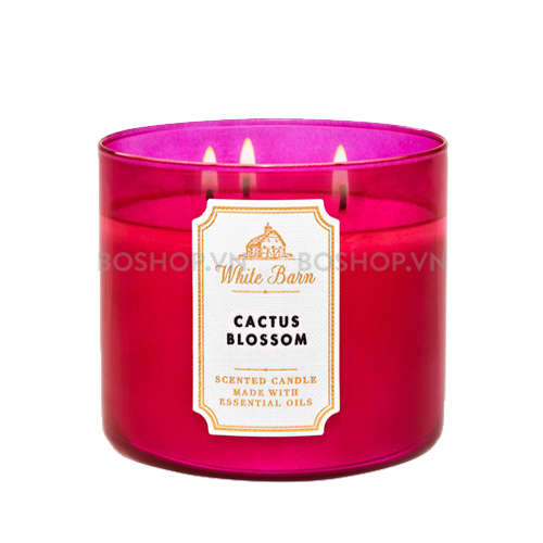 Nến Thơm Bath & Body Works White Barn Cactus Blossom 411g