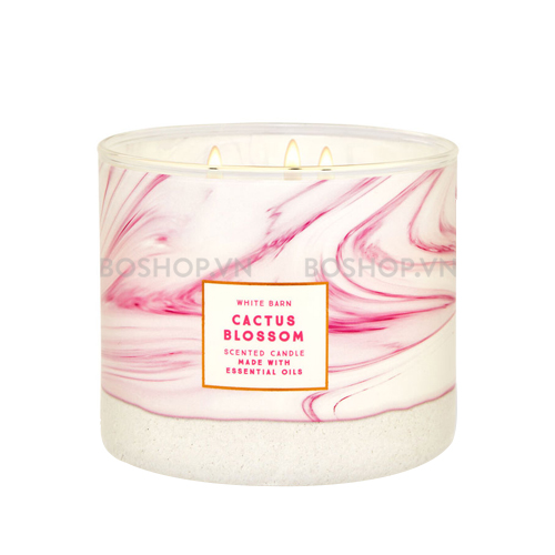 Nến Thơm Bath & Body Works White Barn Cactus Blossom New 411g