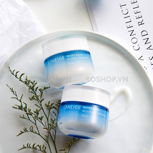 Kem dưỡng Laneige Water Bank Hydro Cream EX 20ml