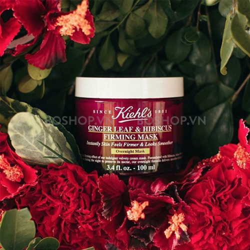 Mặt nạ ngủ Kiehl's Ginger Leaf Hibiscus Firming