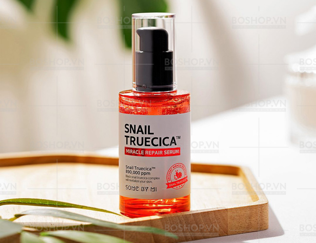 Some By Mi Snail Truecica