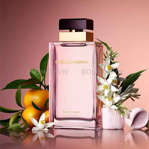 nuoc-hoa-nu-dolce-gabbana-pour-femme-edp-100ml-boshop-1-jpg