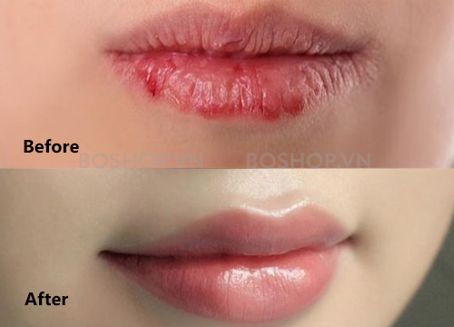 son-duong-co-mau-dhc-color-lip-cream-wine-red-boshop10-jpg