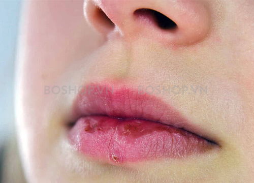 son-duong-co-mau-dhc-color-lip-cream-wine-red-boshop11-jpg