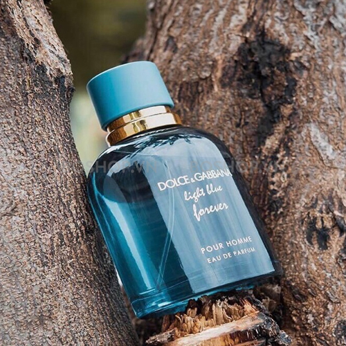 nuoc-hoa-nam-dolce-gabbana-light-blue-forever-pour-homme-edp-100ml-boshop-5-jpg