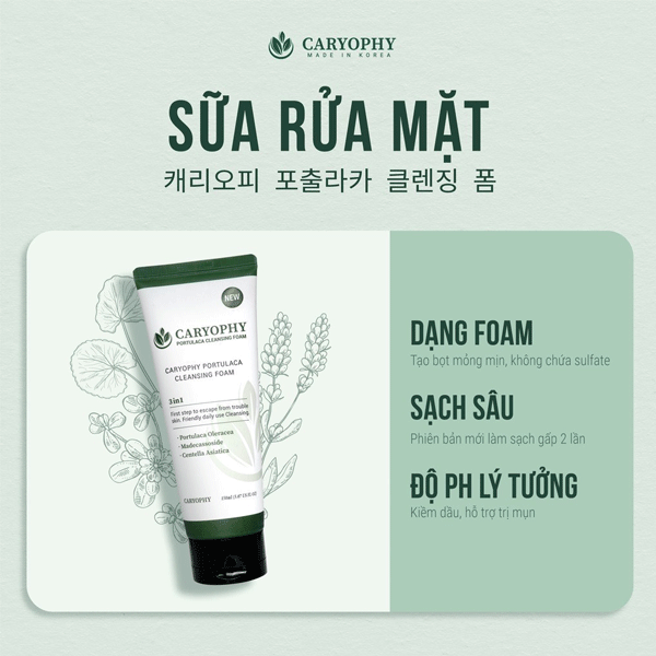 sua-rua-mat-ngua-mun-caryophy-portulaca-cleansing-foam-3in1-150ml-boshop-11-gif