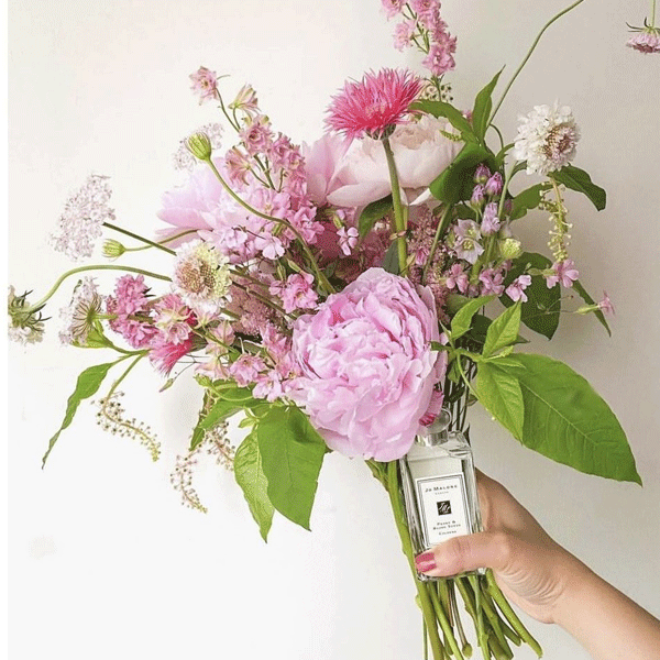 nuoc-hoa-nu-jo-malone-peony-blush-suede-cologne-100ml-boshop-6-gif