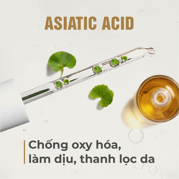 tinh-chat-rau-ma-skin1004-madagascar-centella-ampoule-boshop-10-jpg