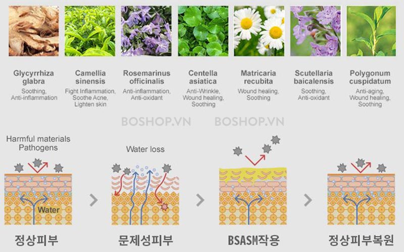 Bộ đôi Pure C+ có thành phần chính chứa tinh chất Vitamin C nguyên chất, không chứa paraben, thích hợp với cả da nhạy cảm.