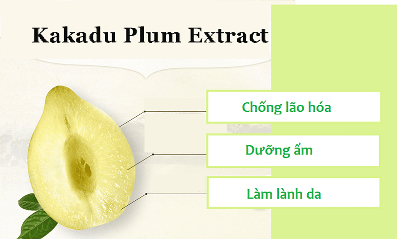 Mận Kakadu đem đến cho sữa tắm Snail White Kakadu Plum công dụng tuyệt vời.