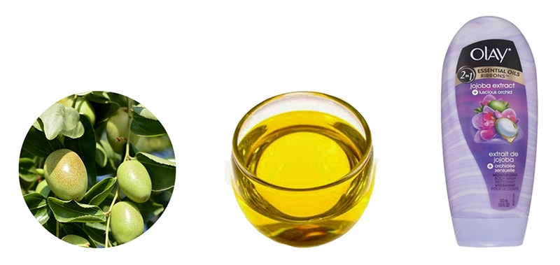Tinh dầu Jojoba trong sữa tắm Olay Mỹ.Hiện Bo Shop đã có bày bán các loại sữa tắm Olay Mỹ.