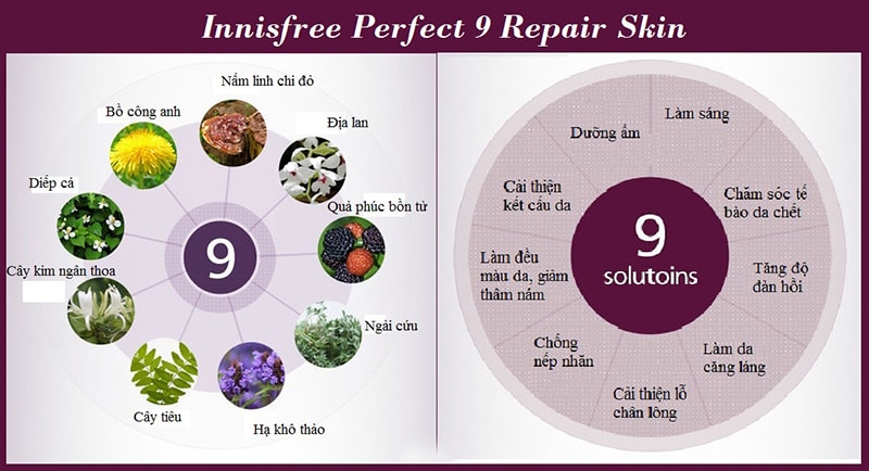 9 loại thảo mộc quý trong nước hồng Innisfree Perfect 9 Repair Skin.