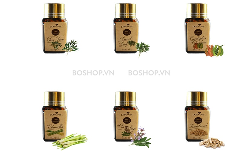 Tinh dầu bạch đàn chanh Purevess 15ml mang đến nhiều phiên bản mùi hương khác nhau