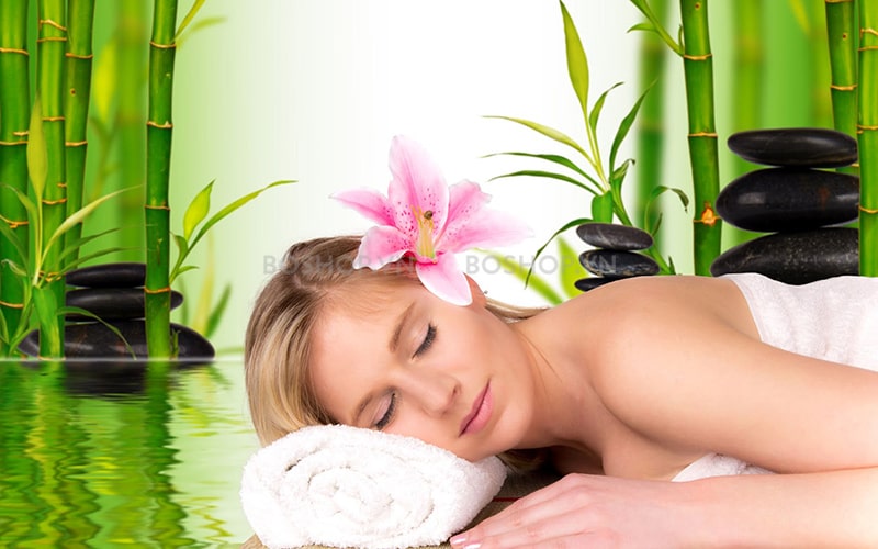 Tinh dầu bạch đàn chanh Purevess kháng khuẩn mạnh, tốt cho đường hô hấp