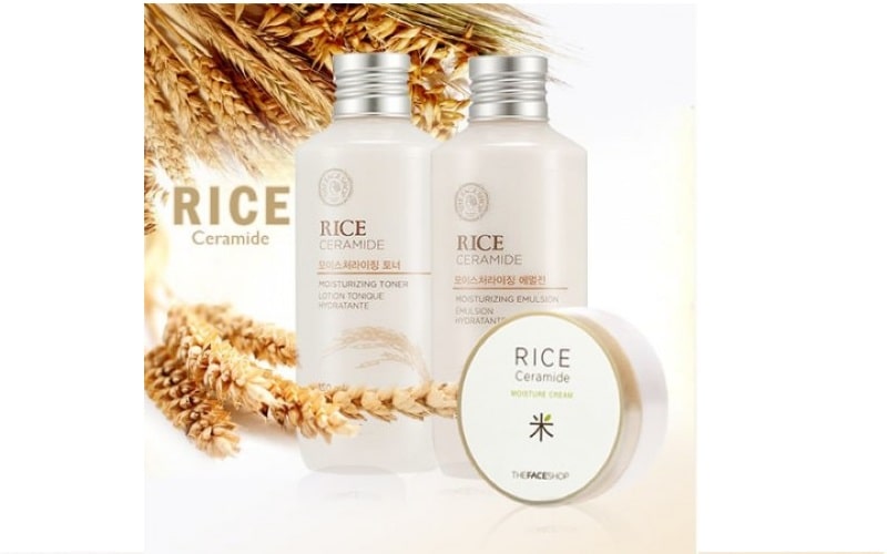 Sữa dưỡng ẩm Rice Ceramide Moisturizing Emulsion The Face Shop luôn mang đến những sản phẩm tốt nhất cho làn da bạn