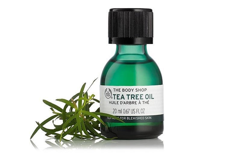 Mua Tinh Dầu Tràm Trà Trị Mụn The Body Shop Tea Tree Oil 20ml giá 278,000  