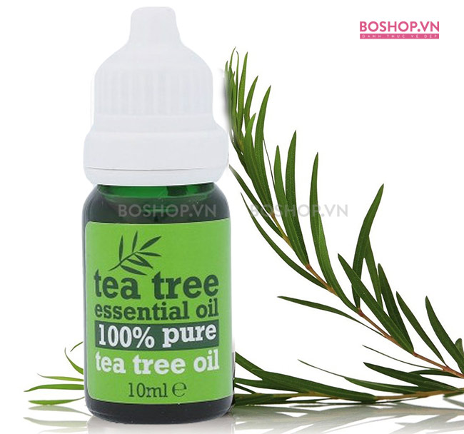 Tinh dầu tràm trà Tea Tree Essential Oil 10ml chiết xuất từ cây tràm trà